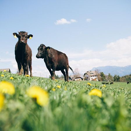 Alpin Farm Linde - Oberweidacherhof Collalbo Buitenkant foto