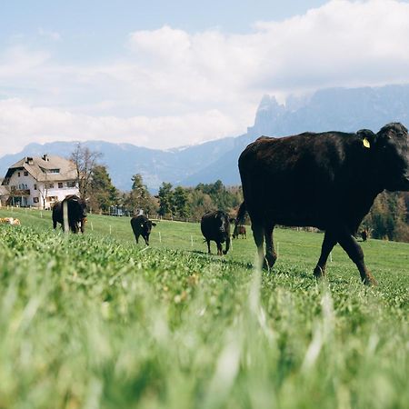 Alpin Farm Linde - Oberweidacherhof Collalbo Buitenkant foto