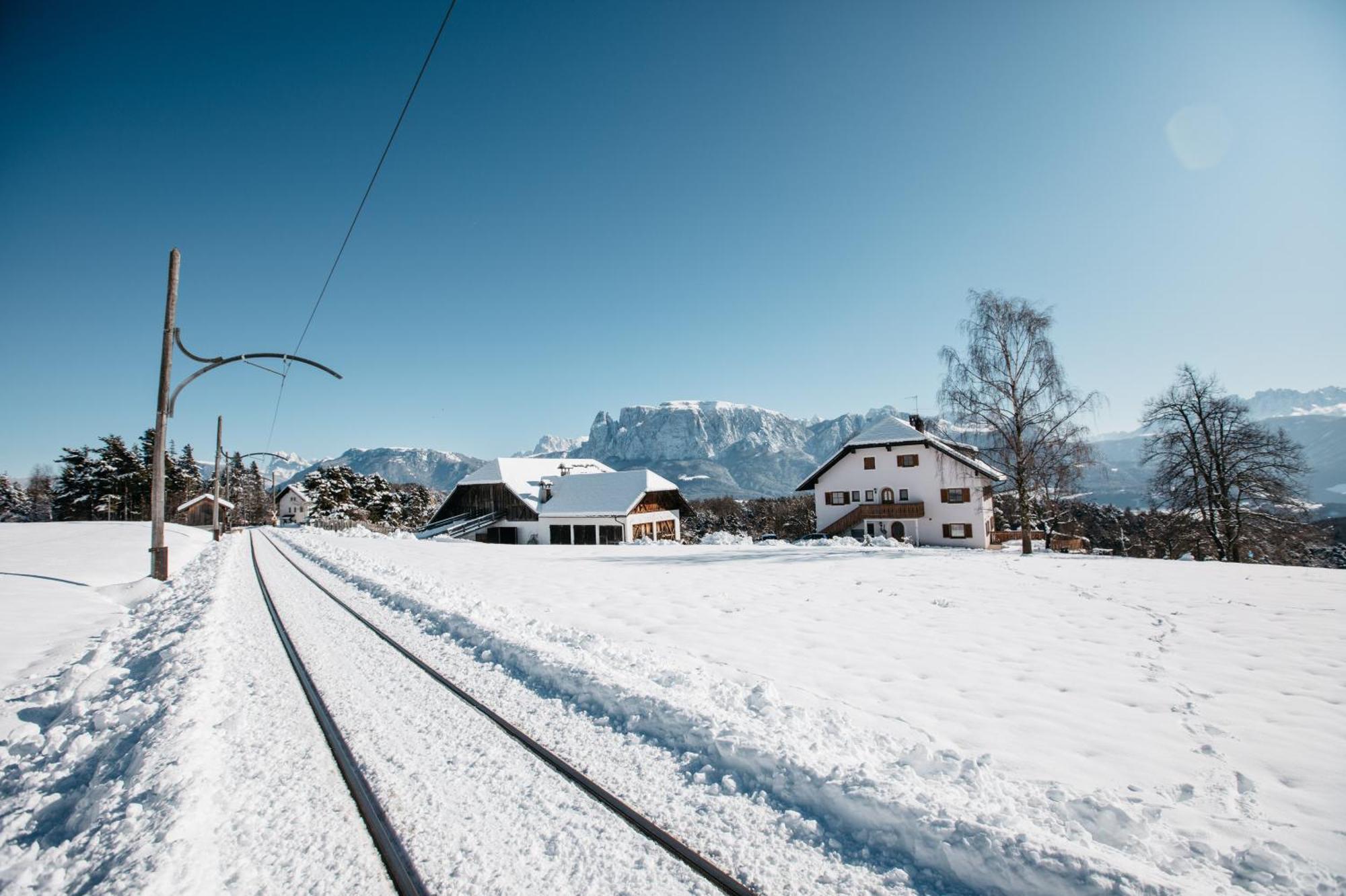 Alpin Farm Linde - Oberweidacherhof Collalbo Buitenkant foto